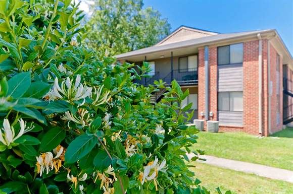 203 Red Oak Drive East 1-4 Beds Apartment, Affordable for Rent - Photo Gallery
